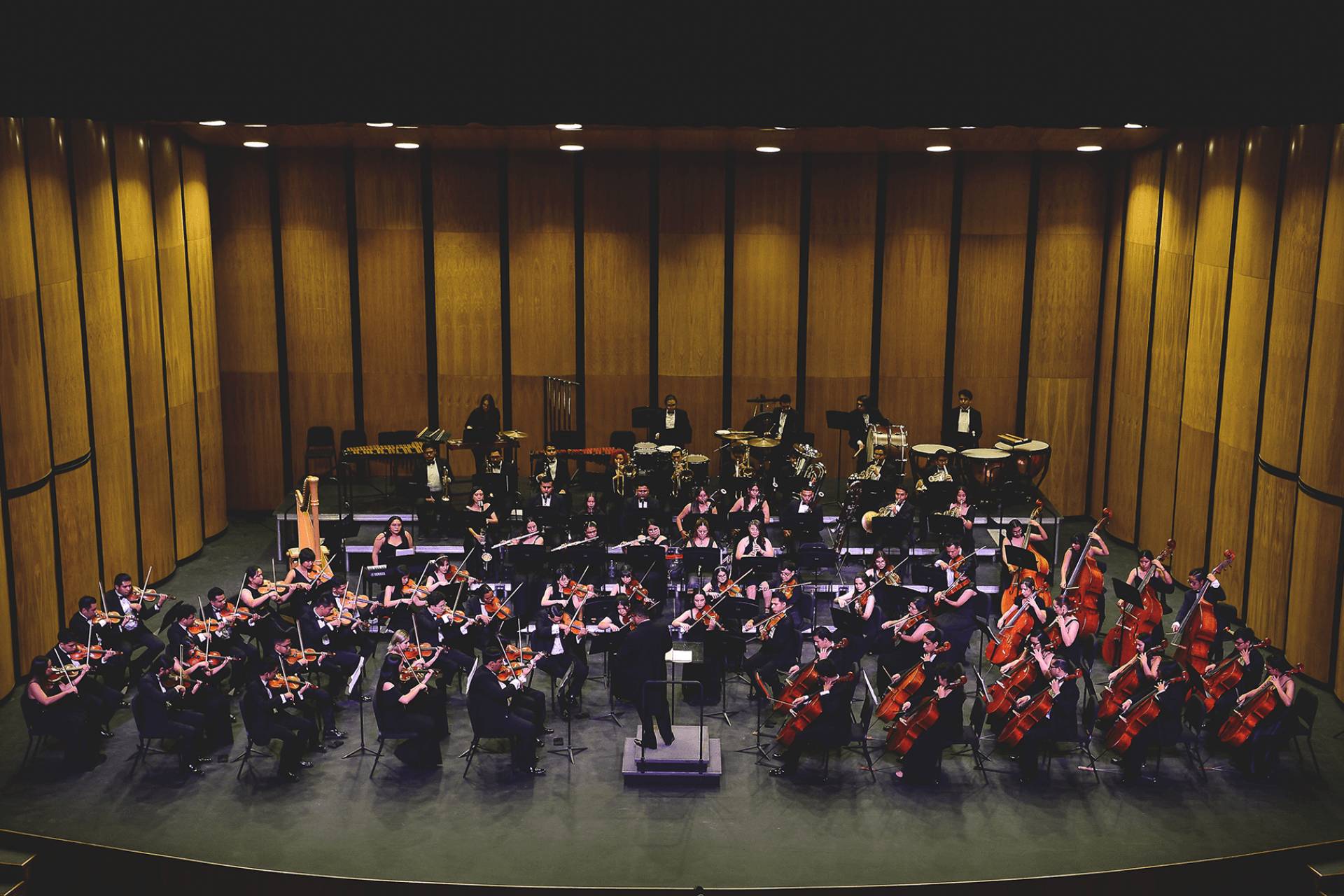 Concierto para violonchelo de Dvorak y Stabat Mater de Poulenc | Jesús Almanza, director | Isabel Rico, directora de coro