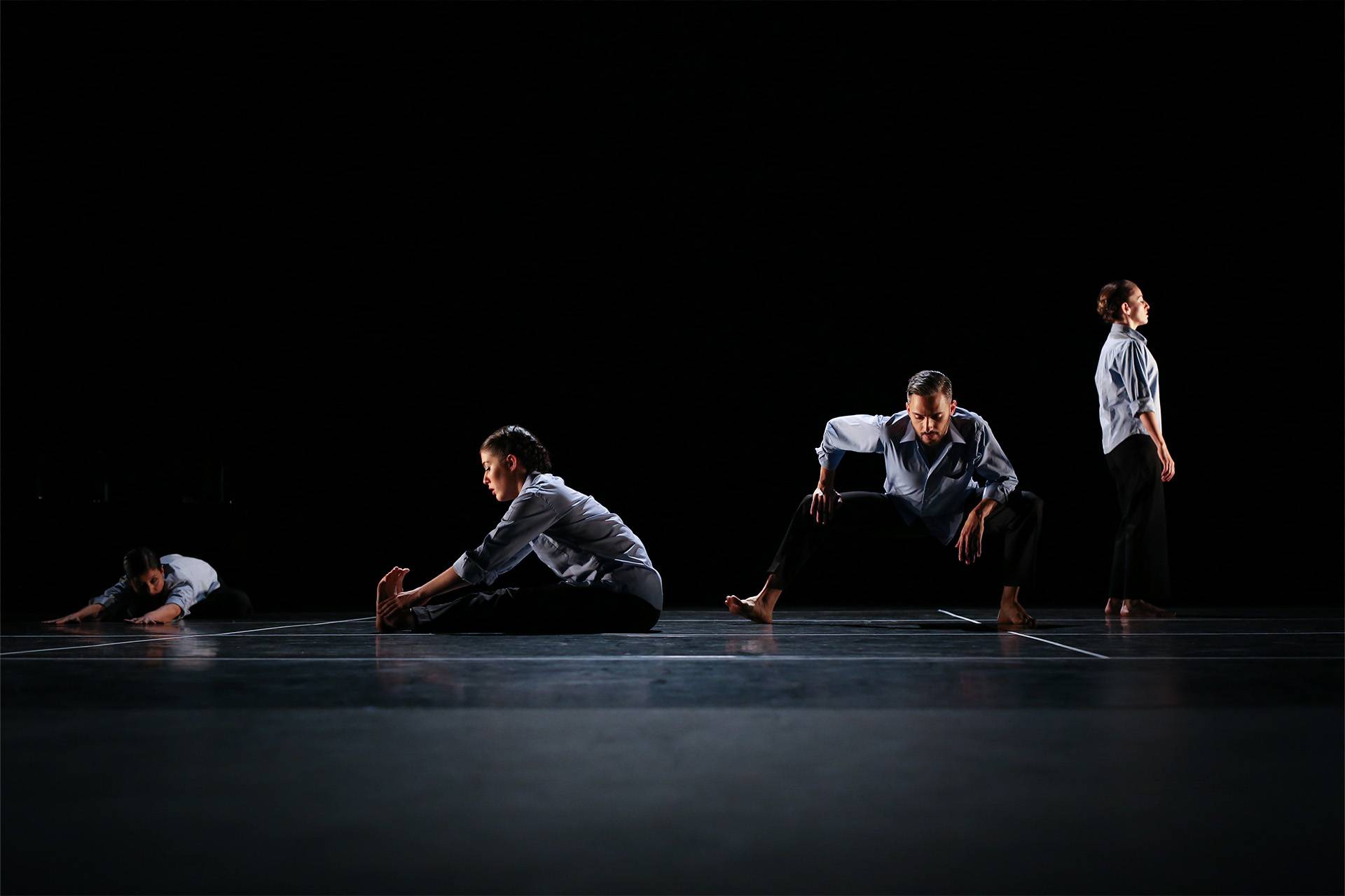 Fisuras (de la serie Diagramas de flujo)  Adriana Castaños, directora 