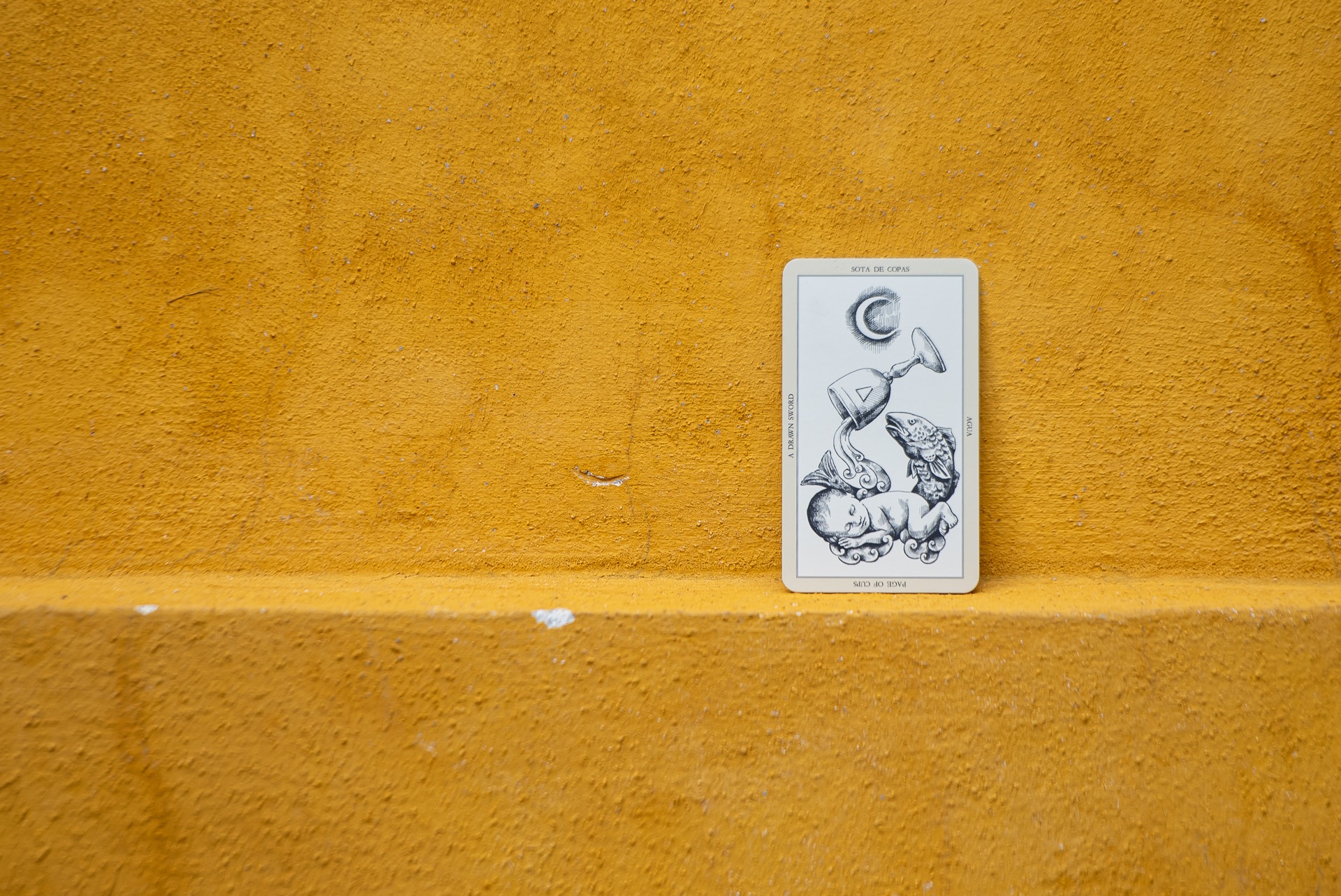 Una mancuerna entre poesía e ilustración enmarcada en el arte de interpretar.
 