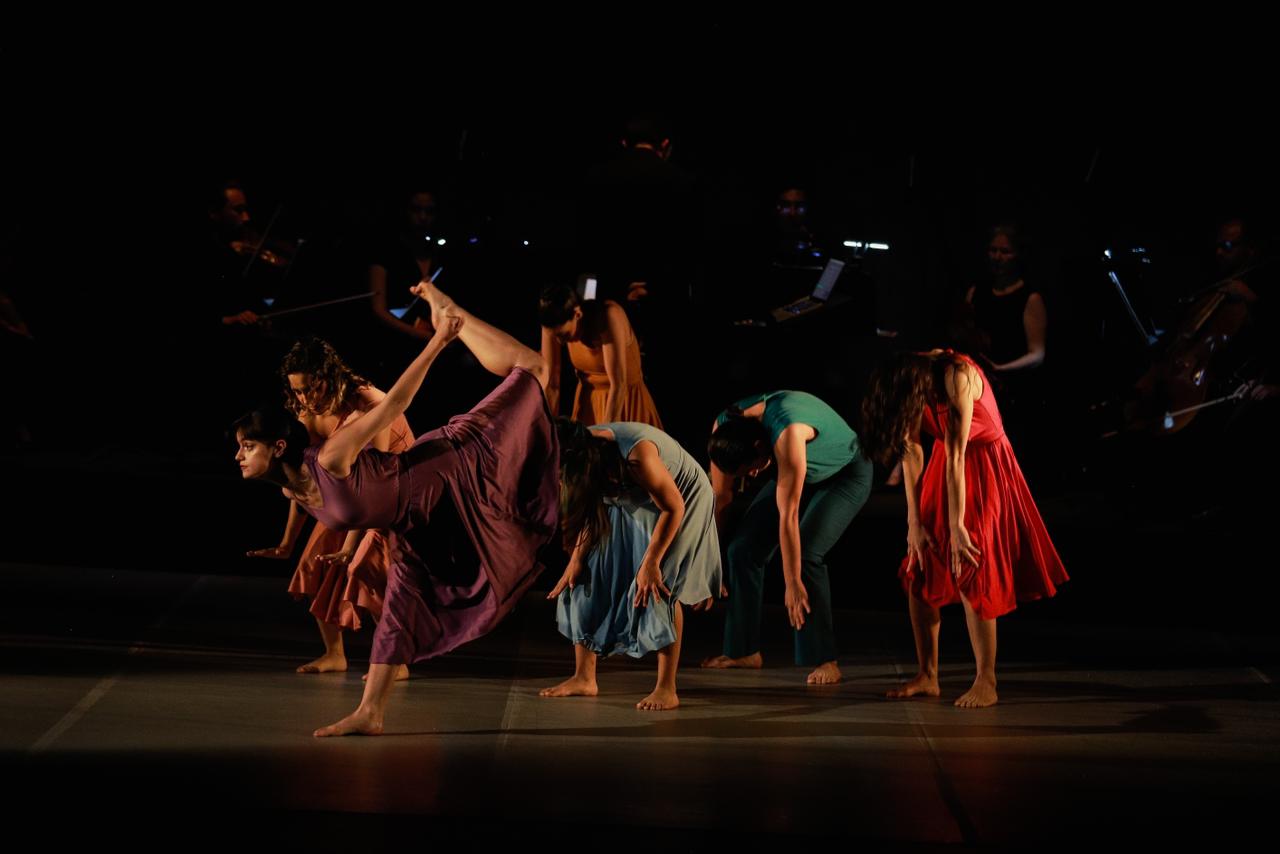 Cervantino 50 Día 14