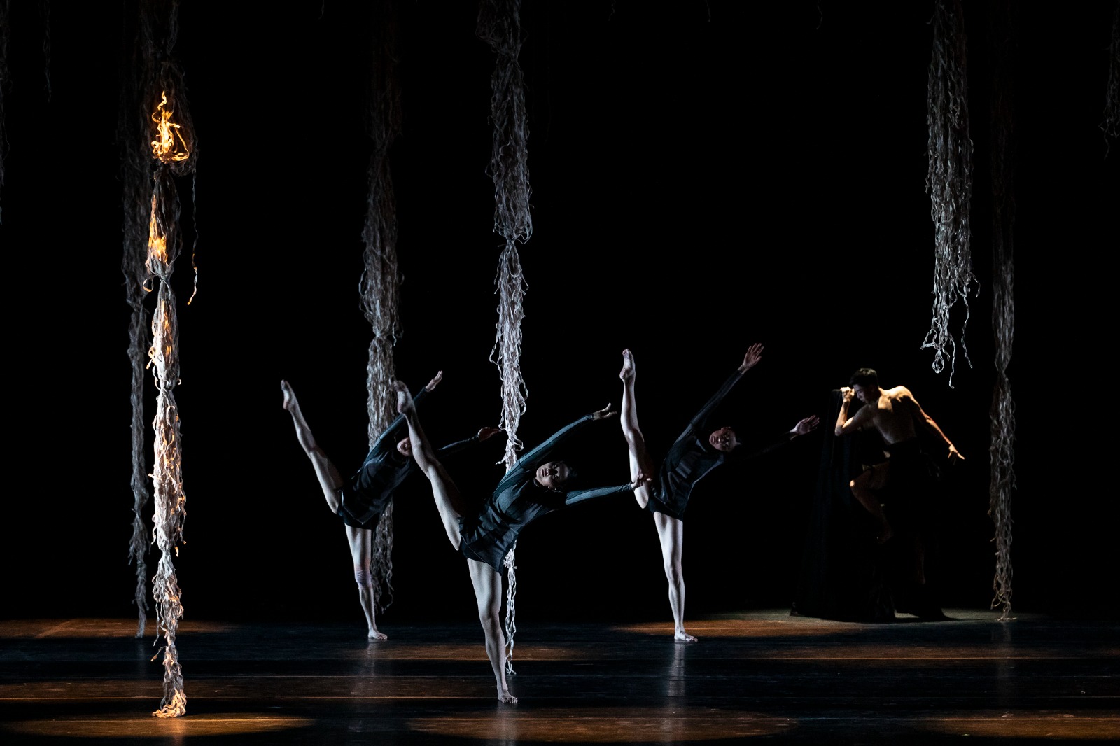 Poesía dancística, clown callejero  y cromatismo vocal impresionan en el FIC 51