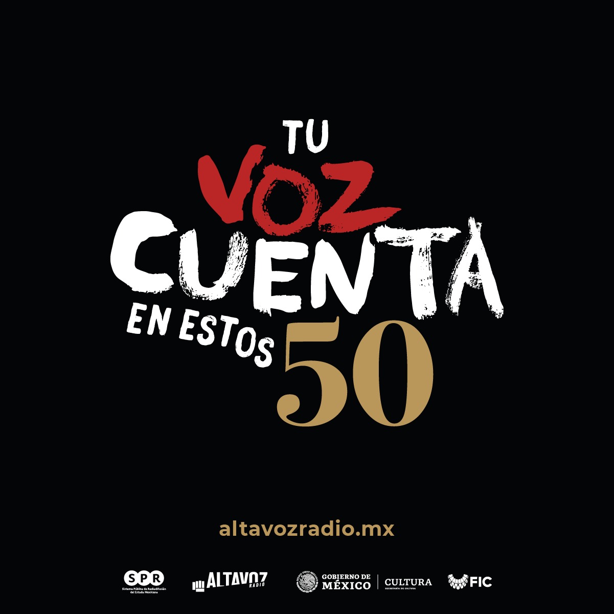 El FIC y Altavoz Radio estrenan “Tu Voz Cuenta en estos 50<em>”</em>, historias radiofónicas contadas desde múltiples miradas